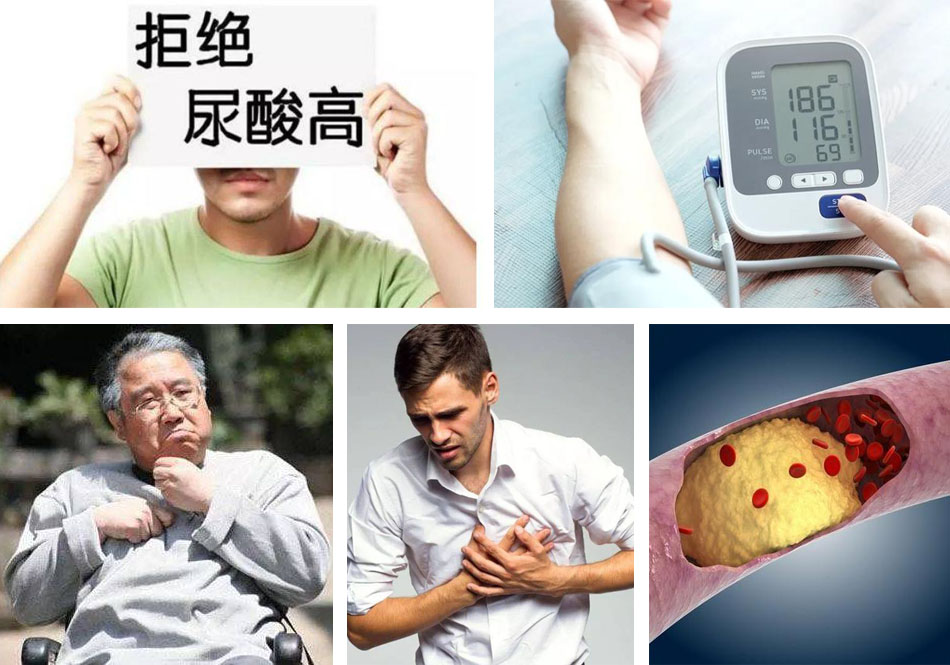 长生山康养堂四高调理